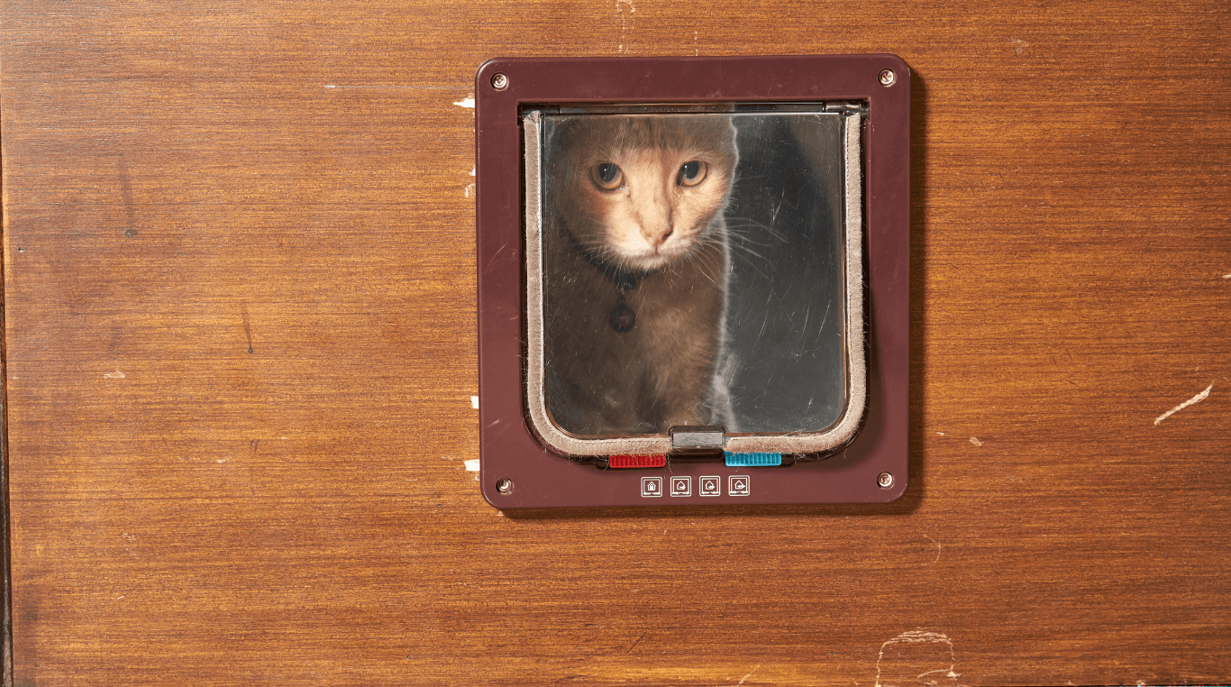 Dog and Cat Flap11